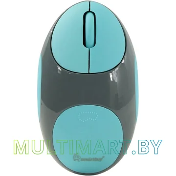Мышь Smartbuy 361AG Gray/Blue (SBM-361AG-GB)
